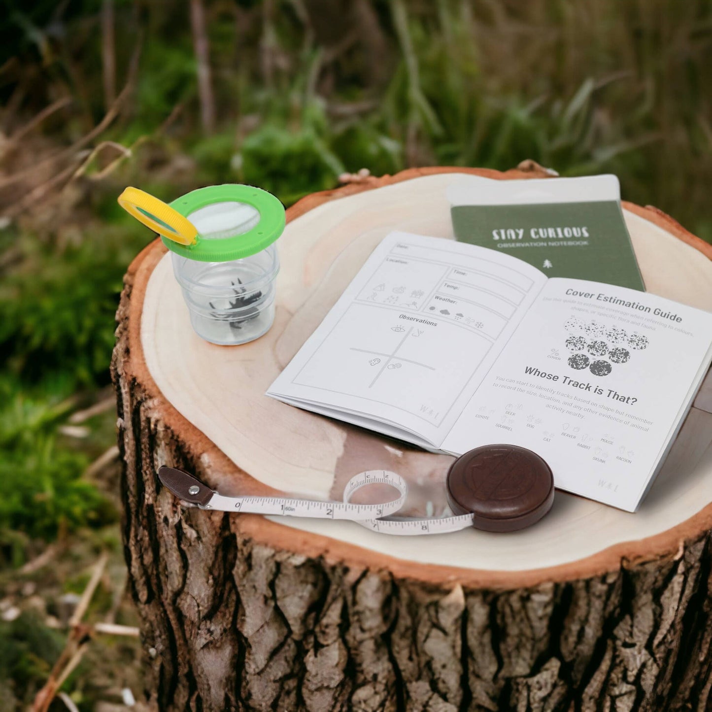 Stay Curious Observation Notebook