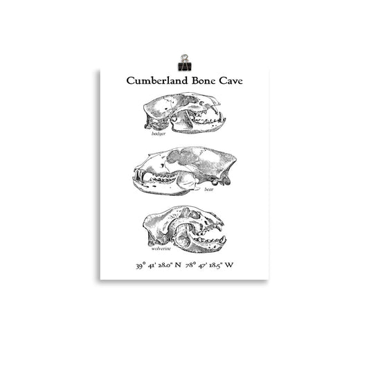 Cumberland Bone Cave - Poster