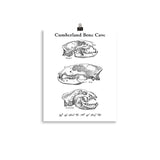Cumberland Bone Cave - Poster