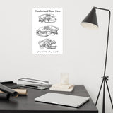 Cumberland Bone Cave - Poster