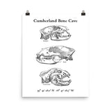Cumberland Bone Cave - Poster