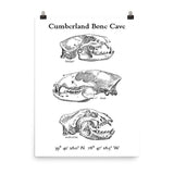 Cumberland Bone Cave - Poster