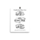 Cumberland Bone Cave - Poster