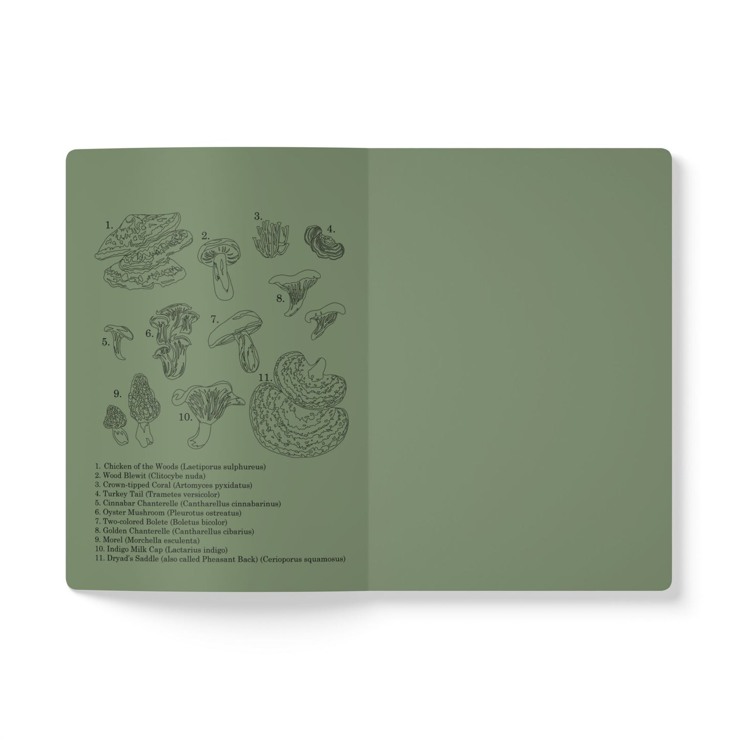 Fungi - Rachel Wojnar Artist Series - Softcover Journal (with Inside Prints)