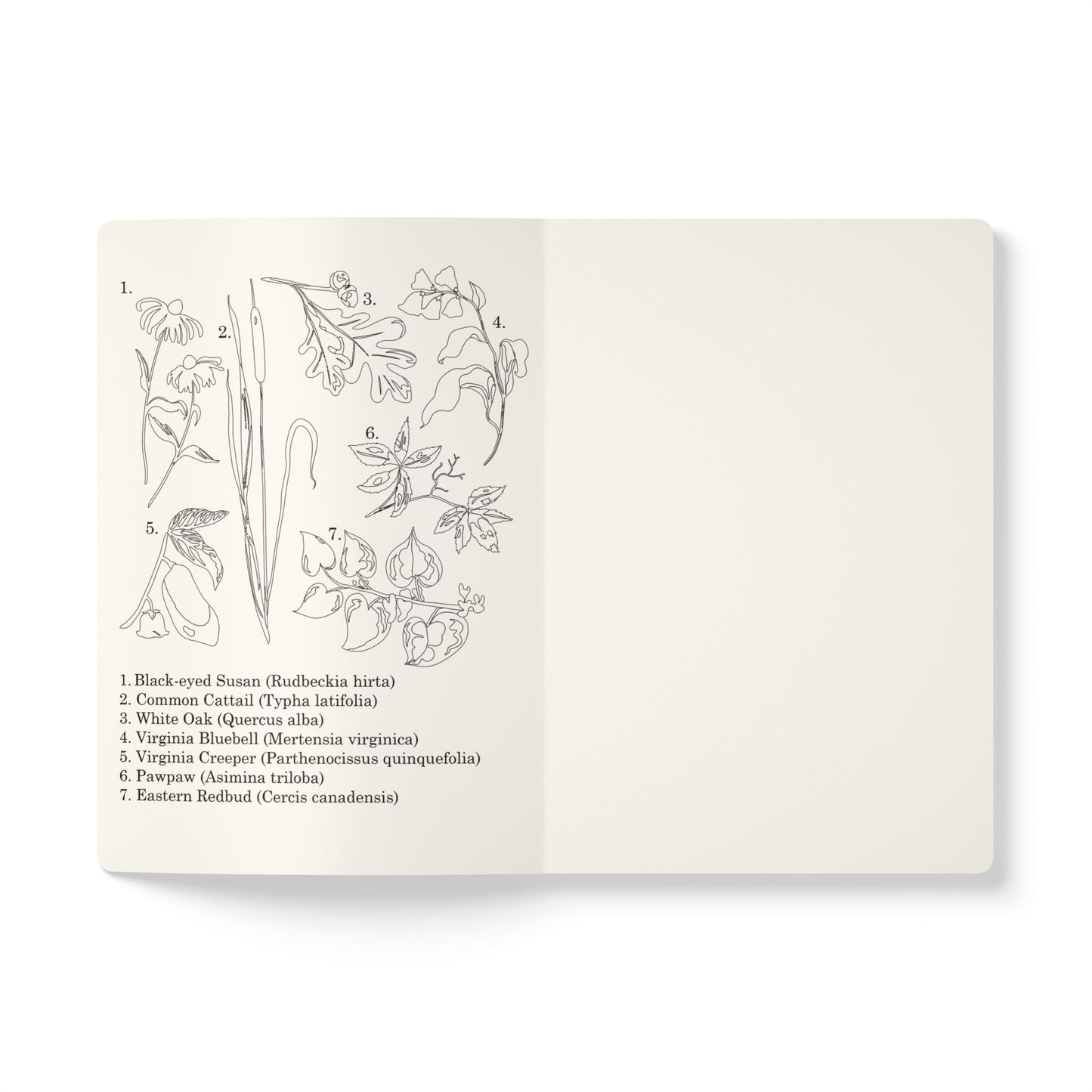Appalachian Flora - Rachel Wojnar Artist Series - Softcover Journal