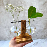 Glass Bulb Vase with Wooden Stand: Two Glasses (Uneven)