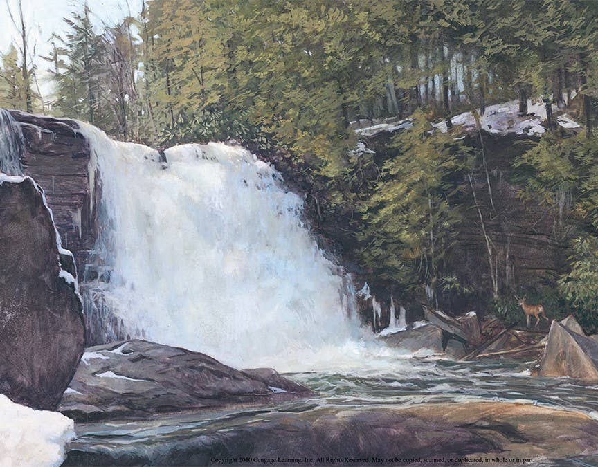 B is for Blue Crab: A Maryland Alphabet Picture Book