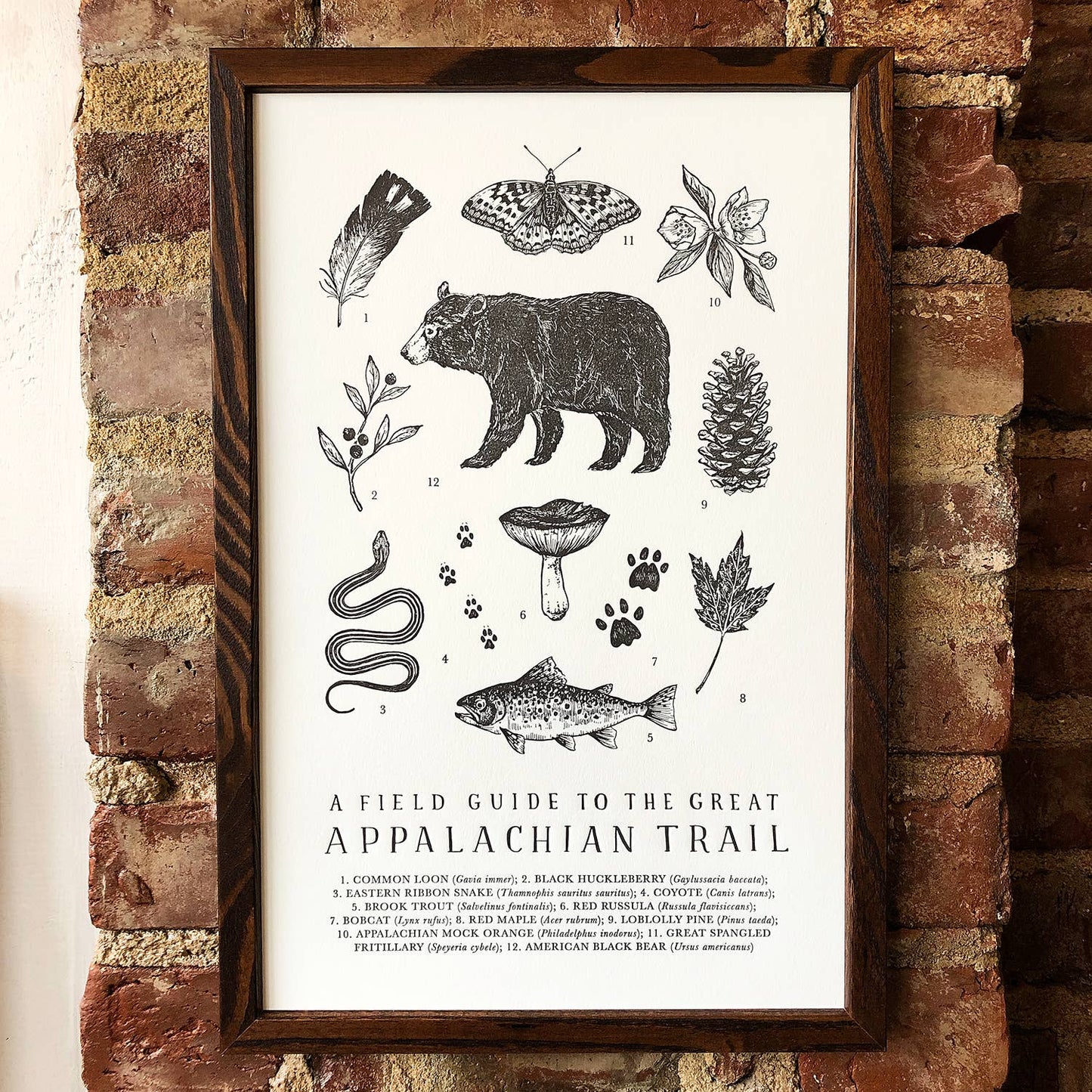 Appalachian Trail Guide - Art Print