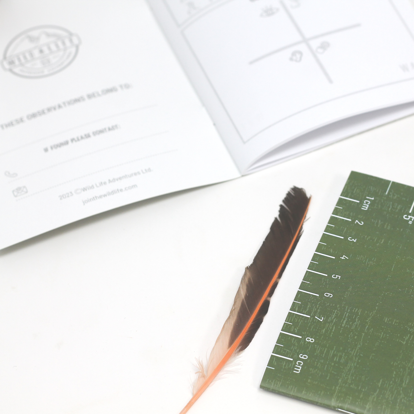 Stay Curious Observation Notebook