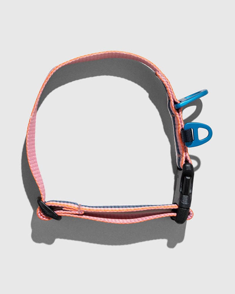 (R)evolution™ Recycled Woven Dog Collar: Shortbread / S