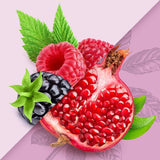 Adaptogen Infused Wild Berry & Pomegranate Yerba Mate