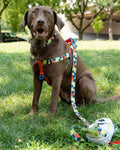 Woven Dog Leash: Wave Swoop / L