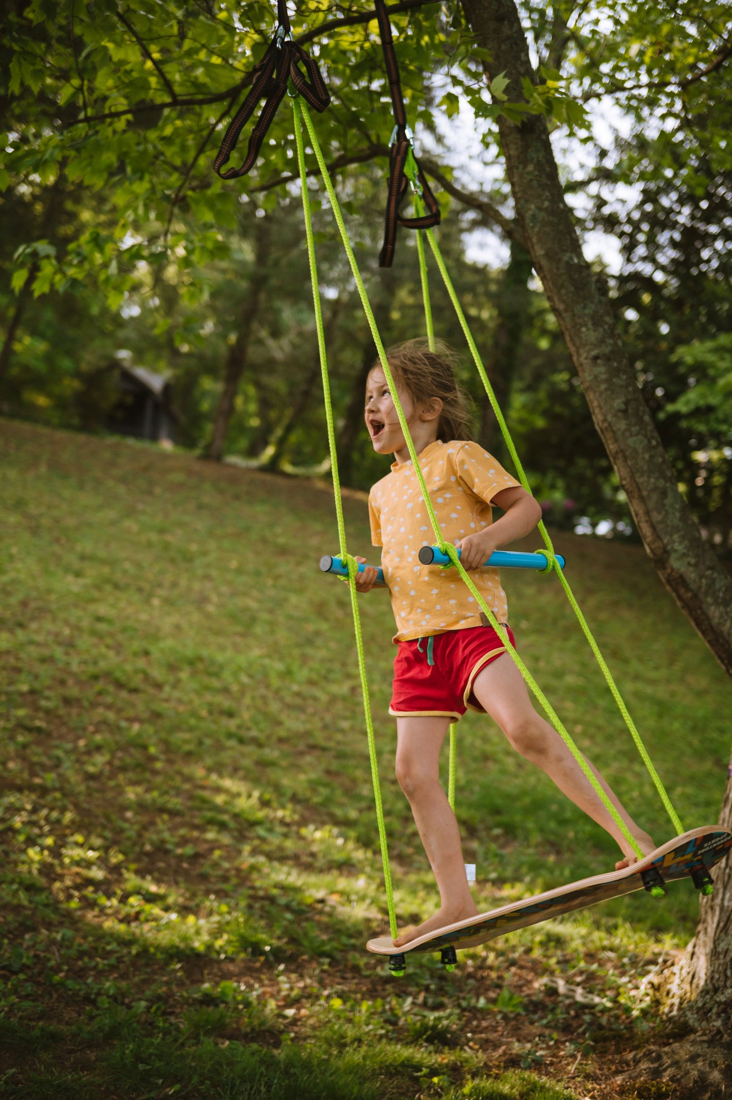 Adventure Skateboard Swing