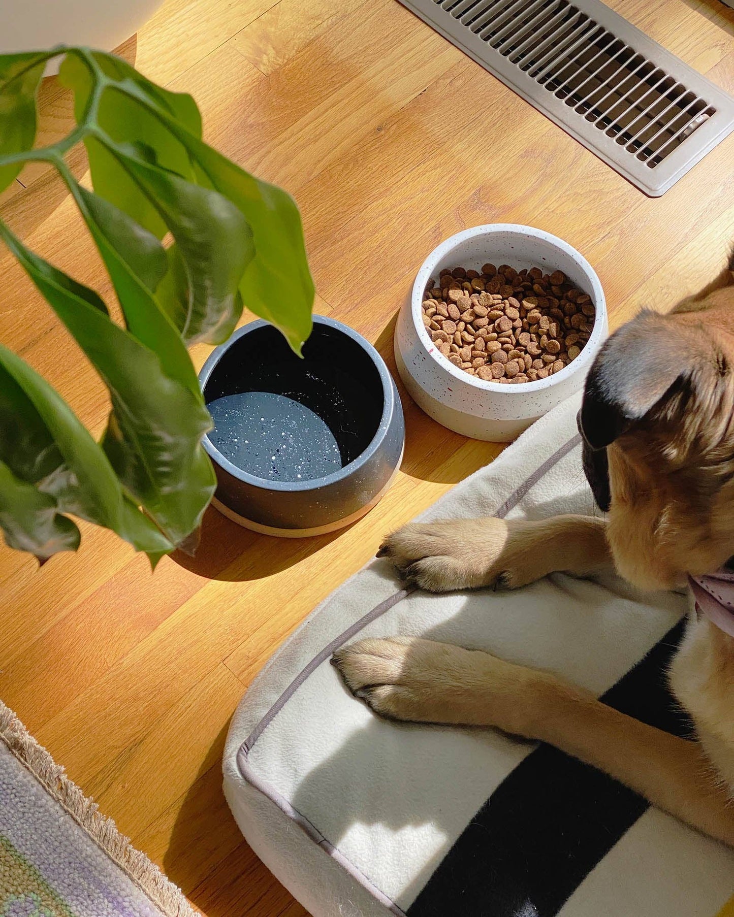 Stoneware Dog Bowl: BLACK