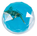 Dinosaur Fossil Putty, Reusable, Tactile, 3-1/2" container
