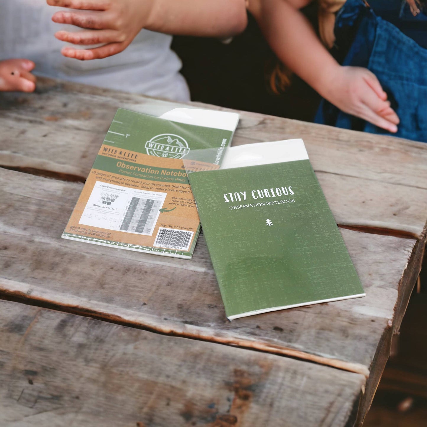 Stay Curious Observation Notebook