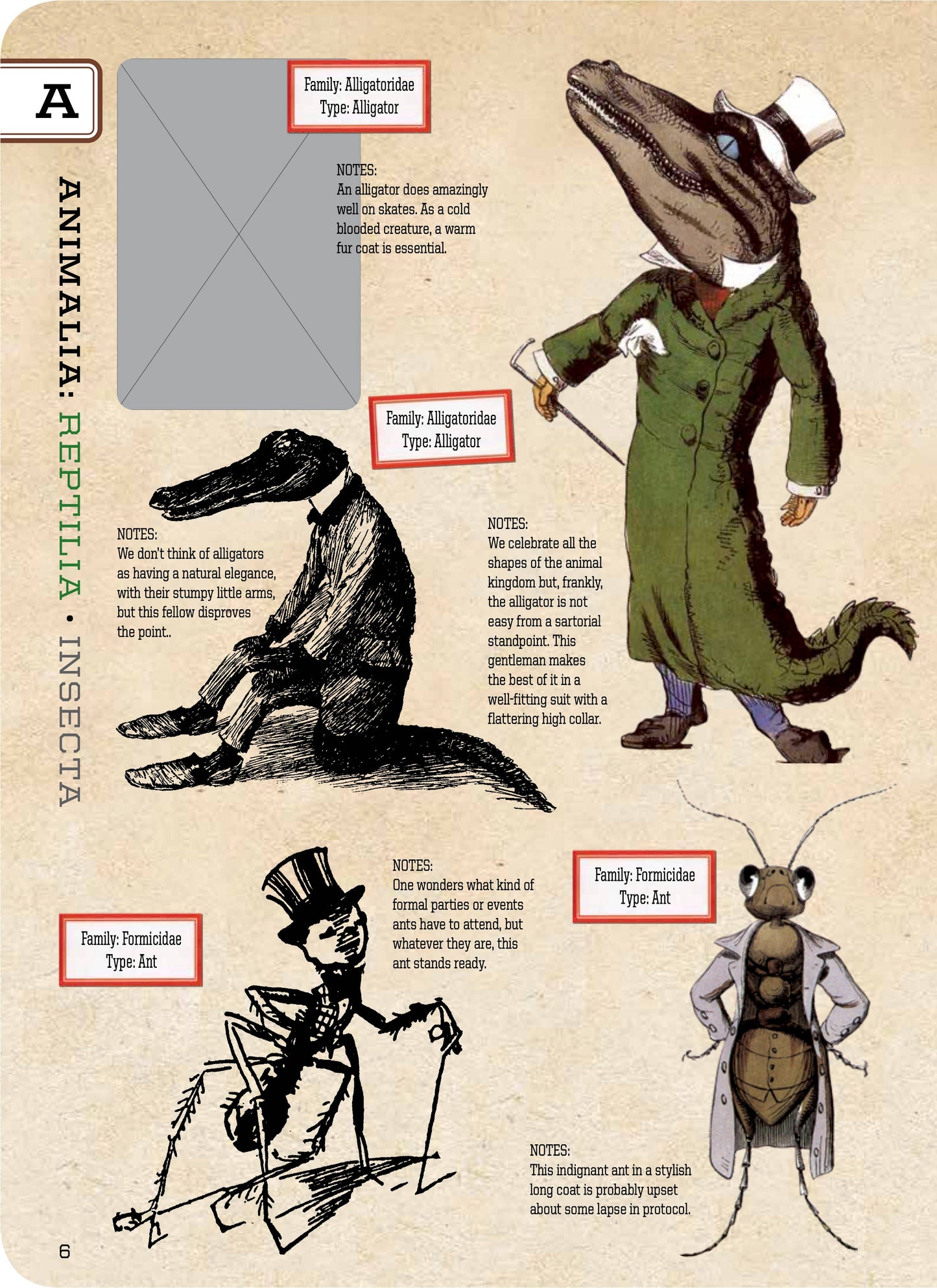 A Field Guide To Well Dressed Animals- Vintage Picture Book