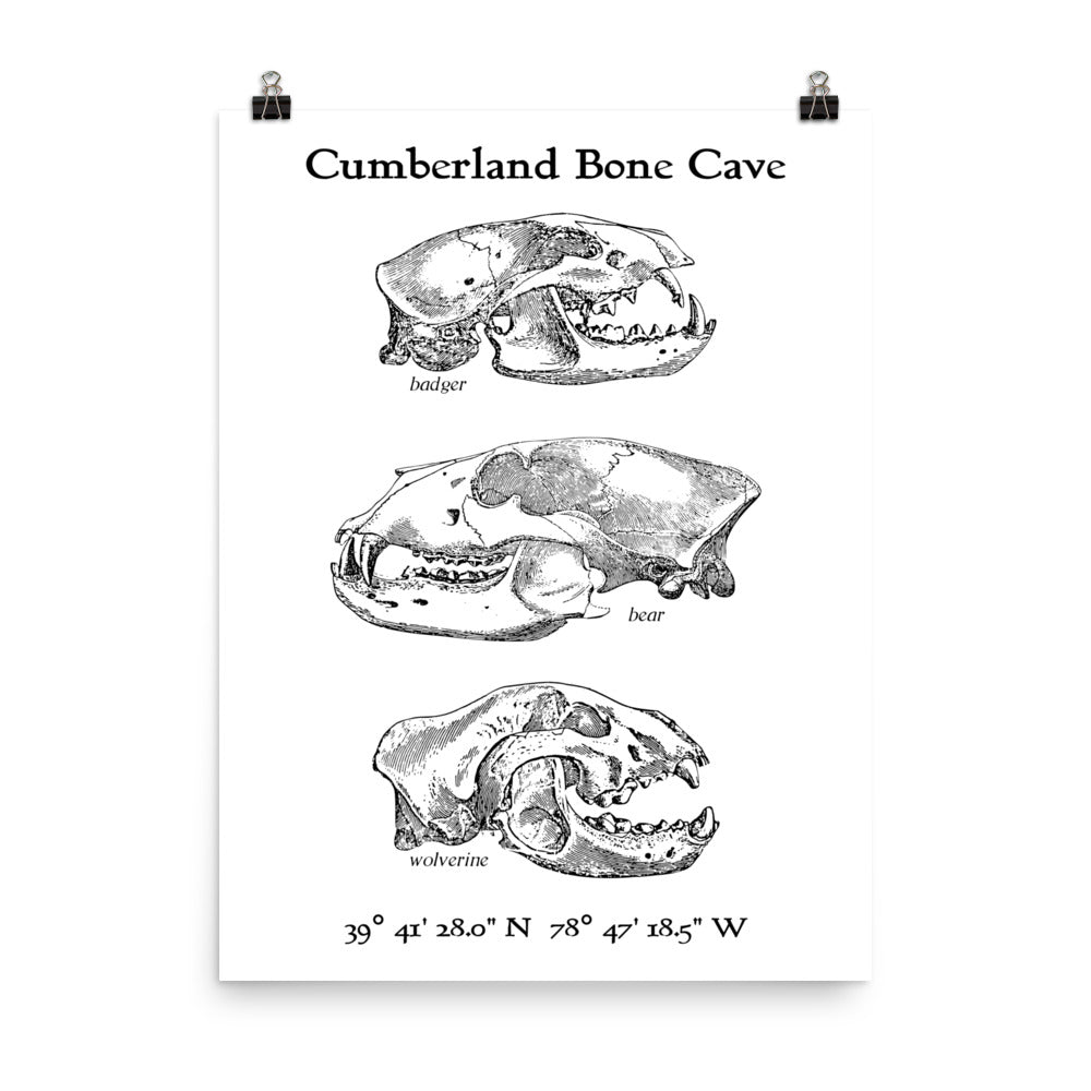 Cumberland Bone Cave - Poster