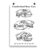 Cumberland Bone Cave - Poster
