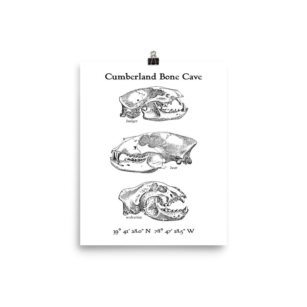 Cumberland Bone Cave - Poster