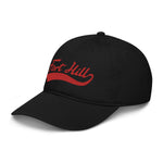 Fort Hill Swoop - Organic dad hat