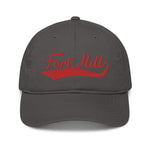 Fort Hill Swoop - Organic dad hat