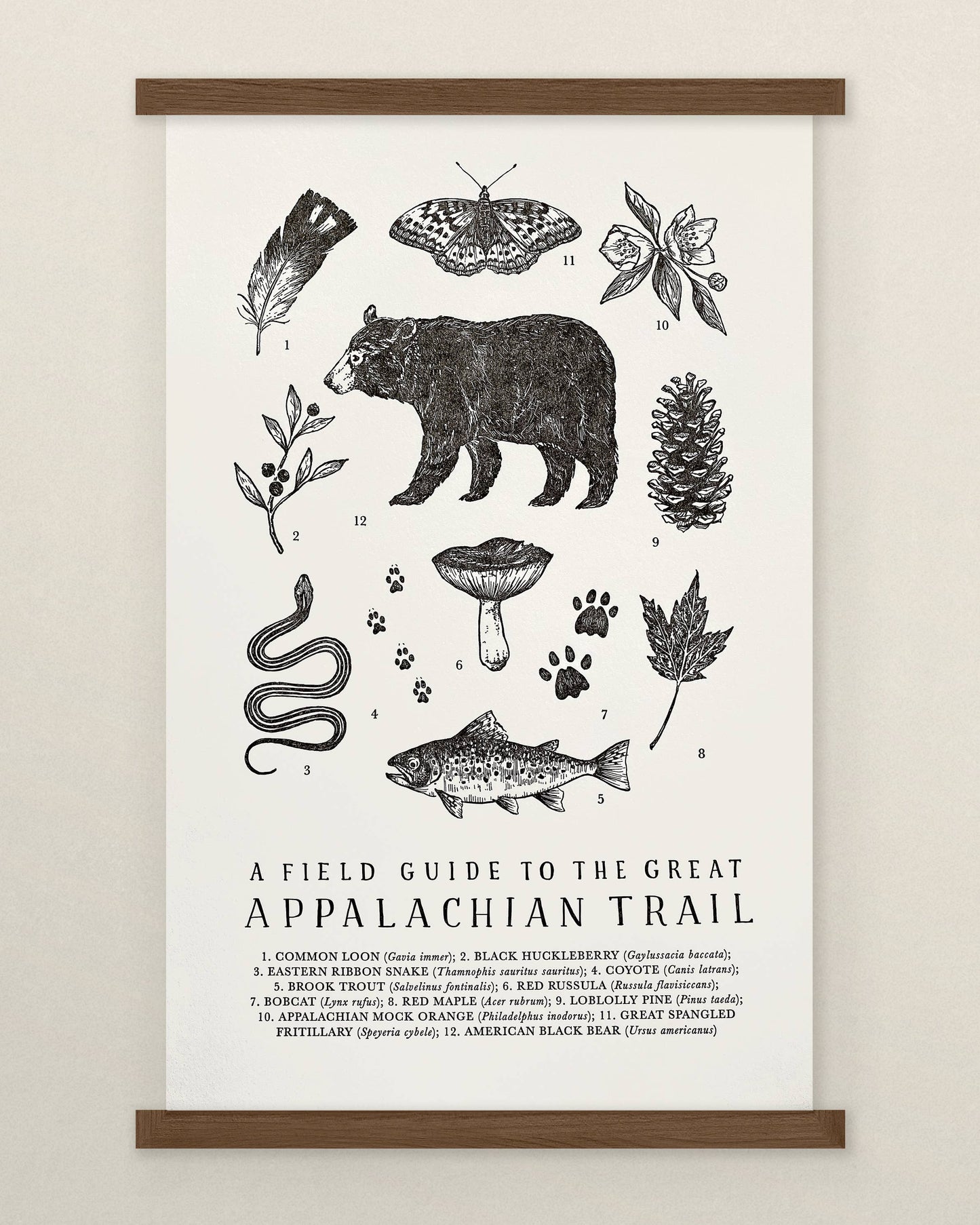 Appalachian Trail Guide - Art Print