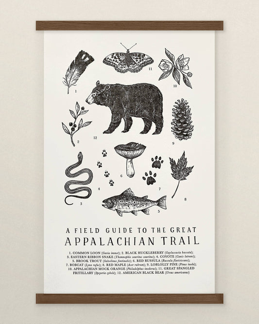 Appalachian Trail Guide - Art Print