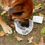 Folding News Dog Water Bowl